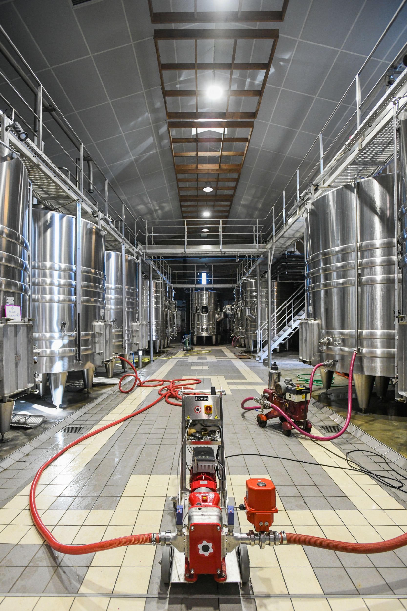 broyeur de sarments de vigne