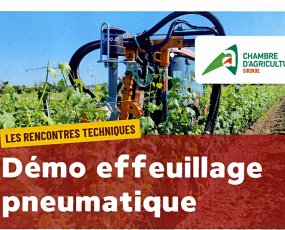 Démo effeuillage pneumatique