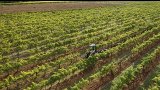 CHENILLARD AUTONOME INTERLIGNE - RX-20 - FR | PELLENC