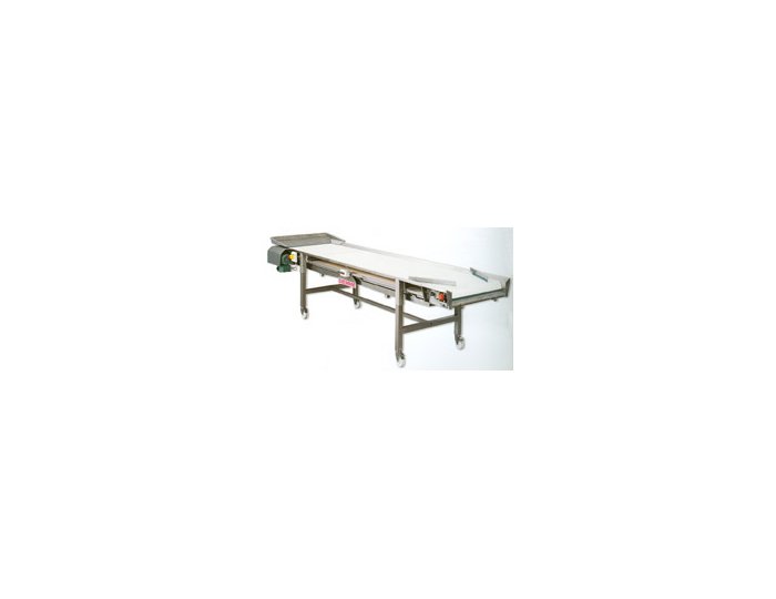 DIEMME Enologia NC 3500 - Table de tri linéaire manuel