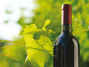 Formation : Gestion des résidus de produits phytosanitaires dans les vins  © IFV