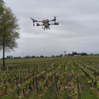 Essai drone vigne