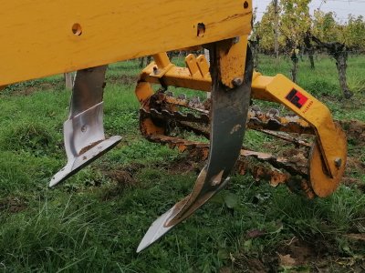 Michel decompaction teeth
