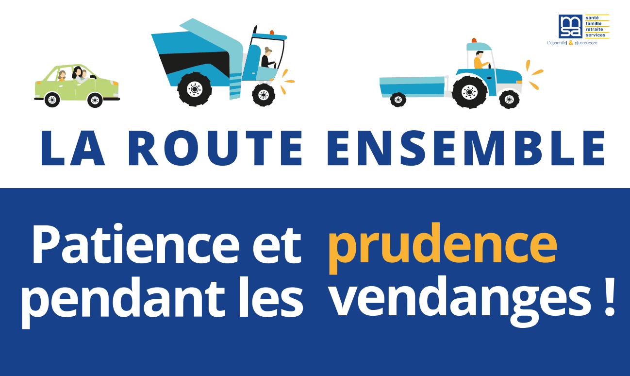 sticker risque routier vendange