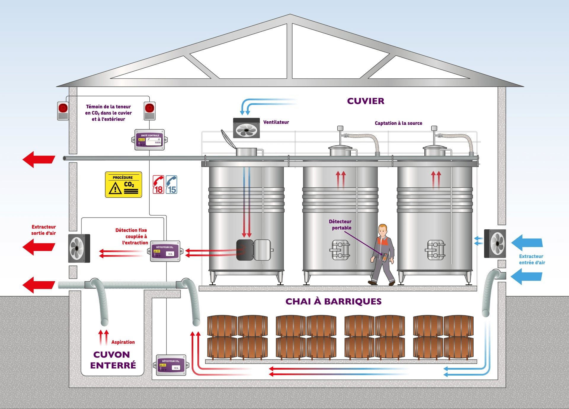 CO2 dans les chais