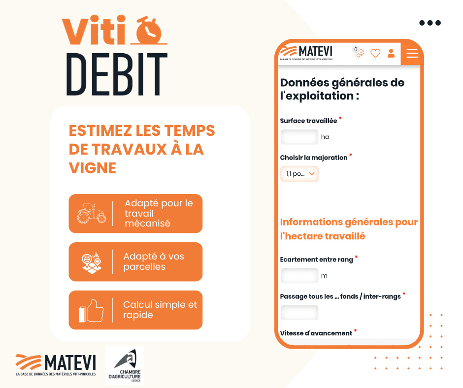 vitidebit