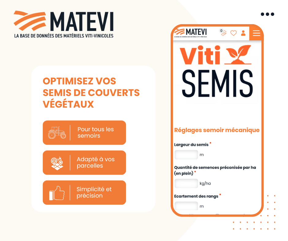 vitisemis