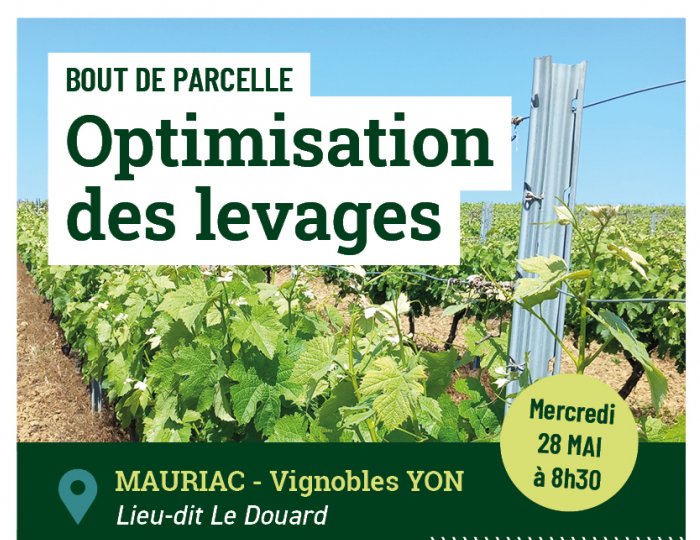 Optimisation du levage - 28 mai 2025