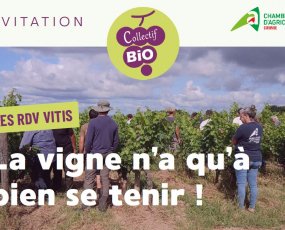 appointment vitis autopalissage