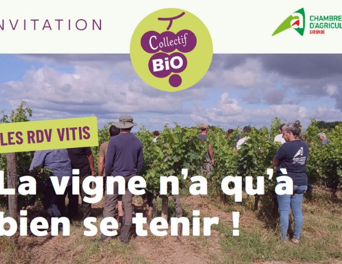appointment vitis autopalissage