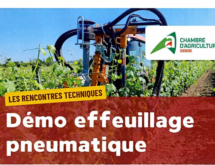 Démo effeuillage pneumatique